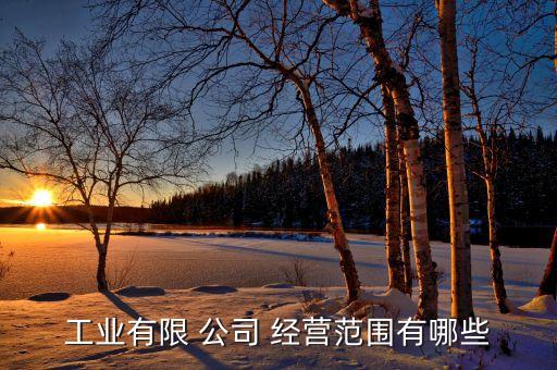工業(yè)有限 公司 經(jīng)營范圍有哪些