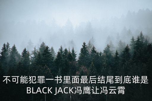 不可能犯罪一書里面最后結(jié)尾到底誰(shuí)是BLACK JACK馮鷹讓馮云霄