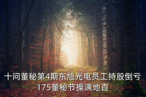 十問董秘第4期東旭光電員工持股倒虧175董秘節(jié)操滿地百