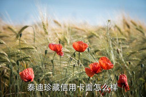 泰迪珍藏信用卡面怎么樣