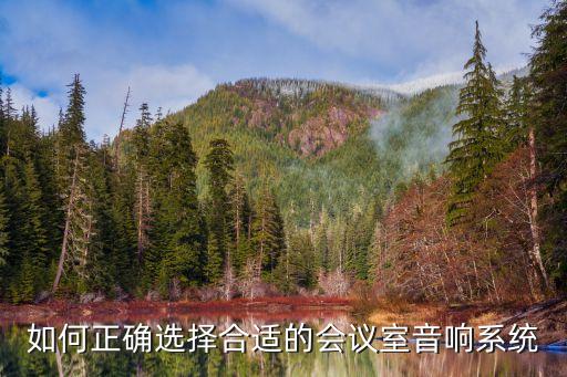 如何正確選擇合適的會議室音響系統(tǒng)
