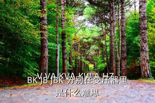 jbk，問一下 jbk 碼是什么呀 謝謝