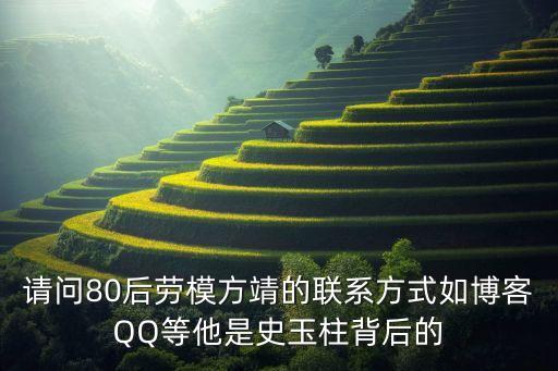 請(qǐng)問80后勞模方靖的聯(lián)系方式如博客QQ等他是史玉柱背后的