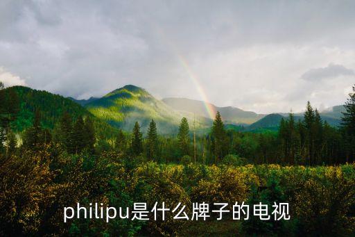 飛利浦電視，philipu是什么牌子的電視
