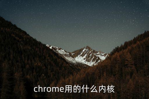 chrome內(nèi)核，chrome用的什么內(nèi)核