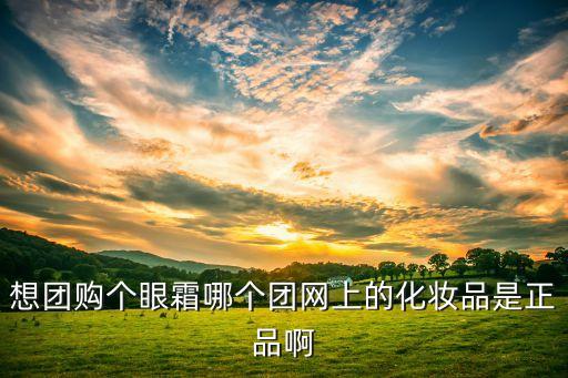 化妝品團(tuán)購網(wǎng)，想團(tuán)購個(gè)眼霜哪個(gè)團(tuán)網(wǎng)上的化妝品是正品啊