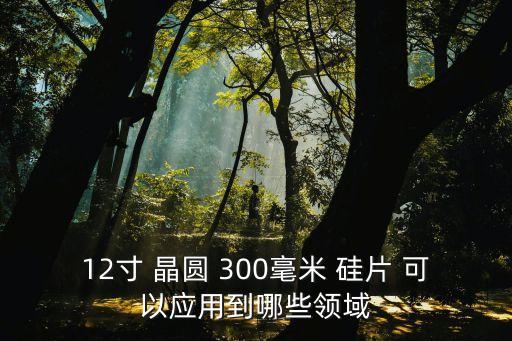 12寸 晶圓 300毫米 硅片 可以應(yīng)用到哪些領(lǐng)域