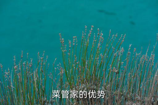 菜管家的優(yōu)勢(shì)