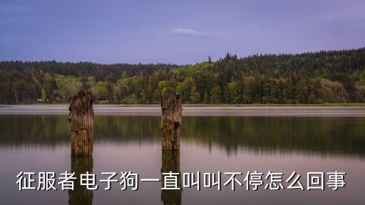 征服者電子狗，電子狗征服者模式設(shè)置