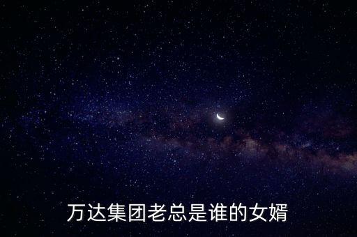 萬達(dá)集團(tuán)老總是誰的女婿