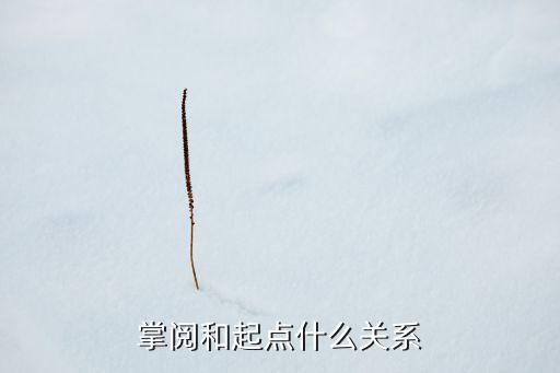 掌閱和起點什么關(guān)系