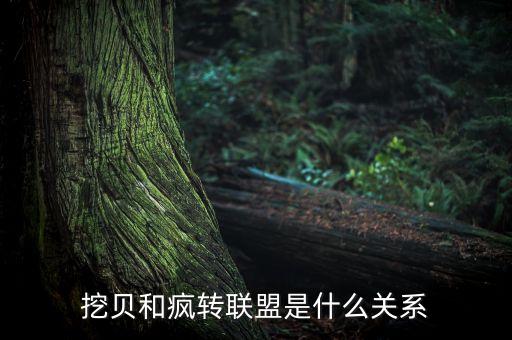 挖貝和瘋轉(zhuǎn)聯(lián)盟是什么關(guān)系