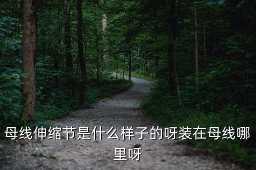 母線伸縮節(jié)，母線伸縮節(jié)不得有裂紋斷股伸縮節(jié)總截面不小于母線截面的