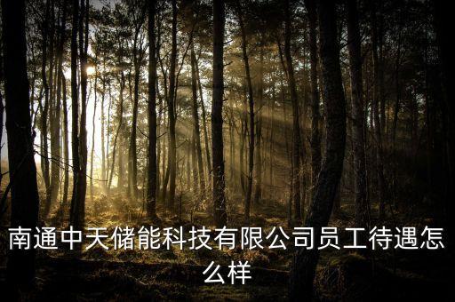 南通中天儲(chǔ)能科技有限公司員工待遇怎么樣