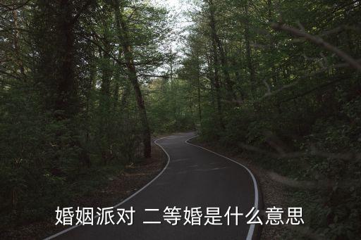 婚姻派對 二等婚是什么意思