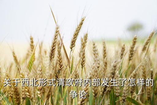 關(guān)于西北形式清政府內(nèi)部發(fā)生了怎樣的爭論