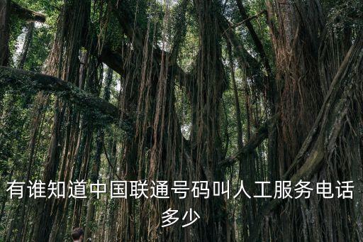 中國(guó)聯(lián)通客服號(hào)碼，聯(lián)通官方電話號(hào)碼是多少