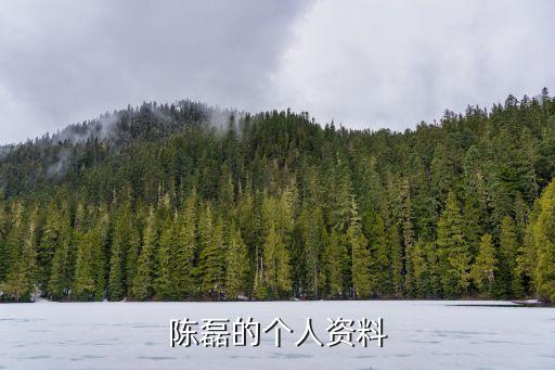 拼多多陳磊，陳磊的個(gè)人資料