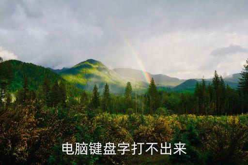 電腦鍵盤字打不出來