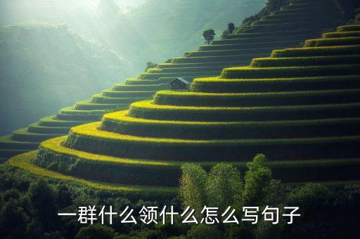 一領(lǐng)，世說(shuō)新語(yǔ)中可以一領(lǐng)及我中的以什么意思