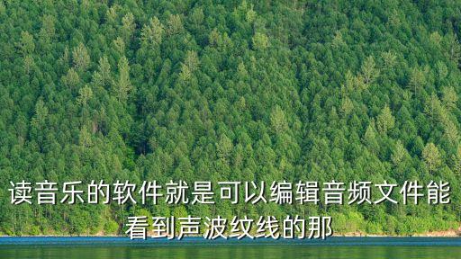 讀音樂的軟件就是可以編輯音頻文件能看到聲波紋線的那