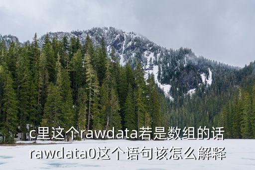 c里這個(gè)rawdata若是數(shù)組的話rawdata0這個(gè)語(yǔ)句該怎么解釋