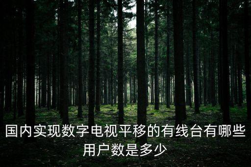 國內(nèi)實(shí)現(xiàn)數(shù)字電視平移的有線臺有哪些用戶數(shù)是多少