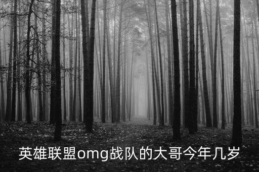 英雄聯(lián)盟omg戰(zhàn)隊(duì)的大哥今年幾歲