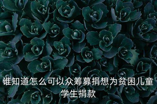 陳南翔，農(nóng)村捐款修建安全措施倡議書怎么寫