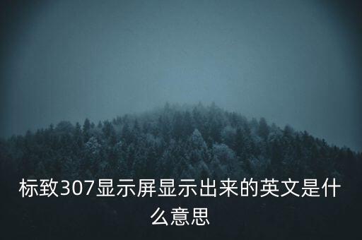 autom，標致307顯示屏顯示出來的英文是什么意思