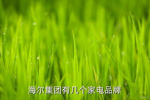 海爾高端品牌，海爾集團有幾個家電品牌