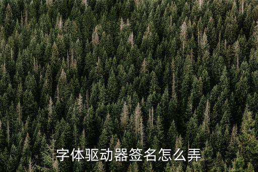 字體驅(qū)動(dòng)器簽名怎么弄