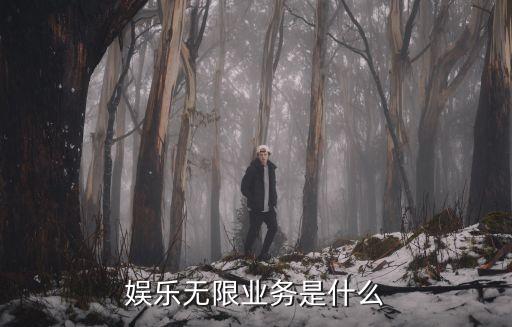 娛樂無限，娛樂無限是什么業(yè)務(wù)