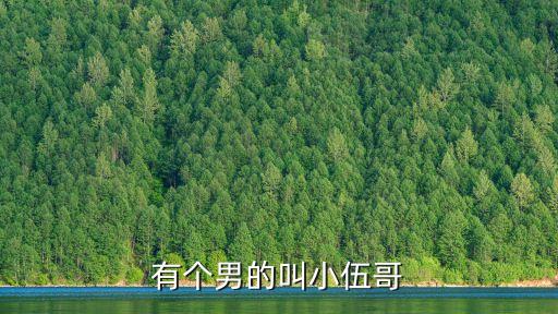有個(gè)男的叫小伍哥