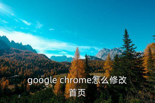 google首頁，怎樣設(shè)置谷歌主頁