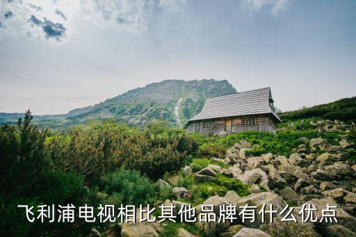 飛利浦電視相比其他品牌有什么優(yōu)點(diǎn)