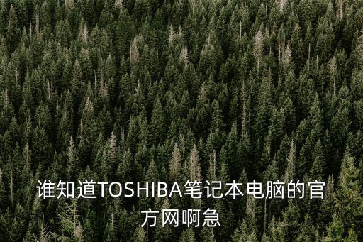 東芝筆記本官網(wǎng)，東芝的官網(wǎng)是