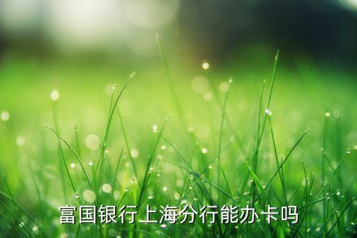 富國銀行上海分行能辦卡嗎