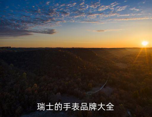 瑞士的手表品牌大全