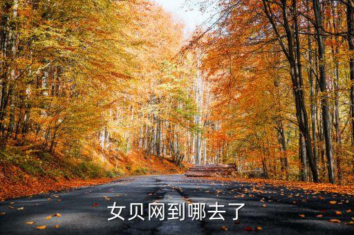 女貝，女貝網到哪去了