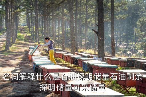名詞解釋什么是石油探明儲量石油剩余探明儲量可采儲量