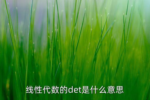線性代數(shù)的det是什么意思