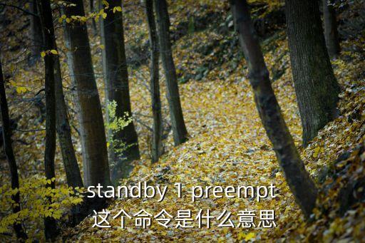 standby 1 preempt 這個命令是什么意思