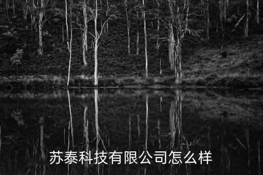 蘇泰科技有限公司怎么樣