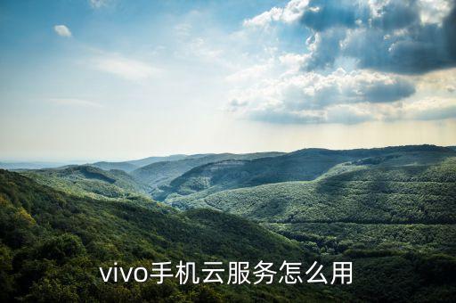 vivo手機(jī)云服務(wù)怎么用