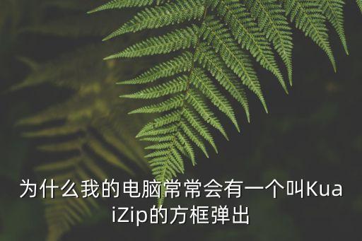 為什么我的電腦常常會(huì)有一個(gè)叫KuaiZip的方框彈出