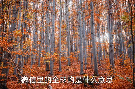 全球購，京東全球購是什么意思