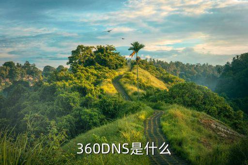 360dns，360怎么修改dns