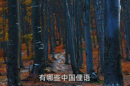 網(wǎng)絡(luò)俚語，weiner俚語什么意思