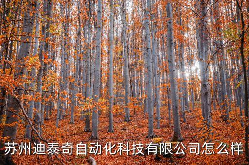 蘇州迪泰奇自動(dòng)化科技有限公司怎么樣